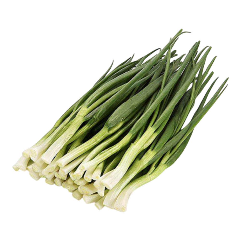 FS Hành Lá Dài / Long Spring Onion (p)