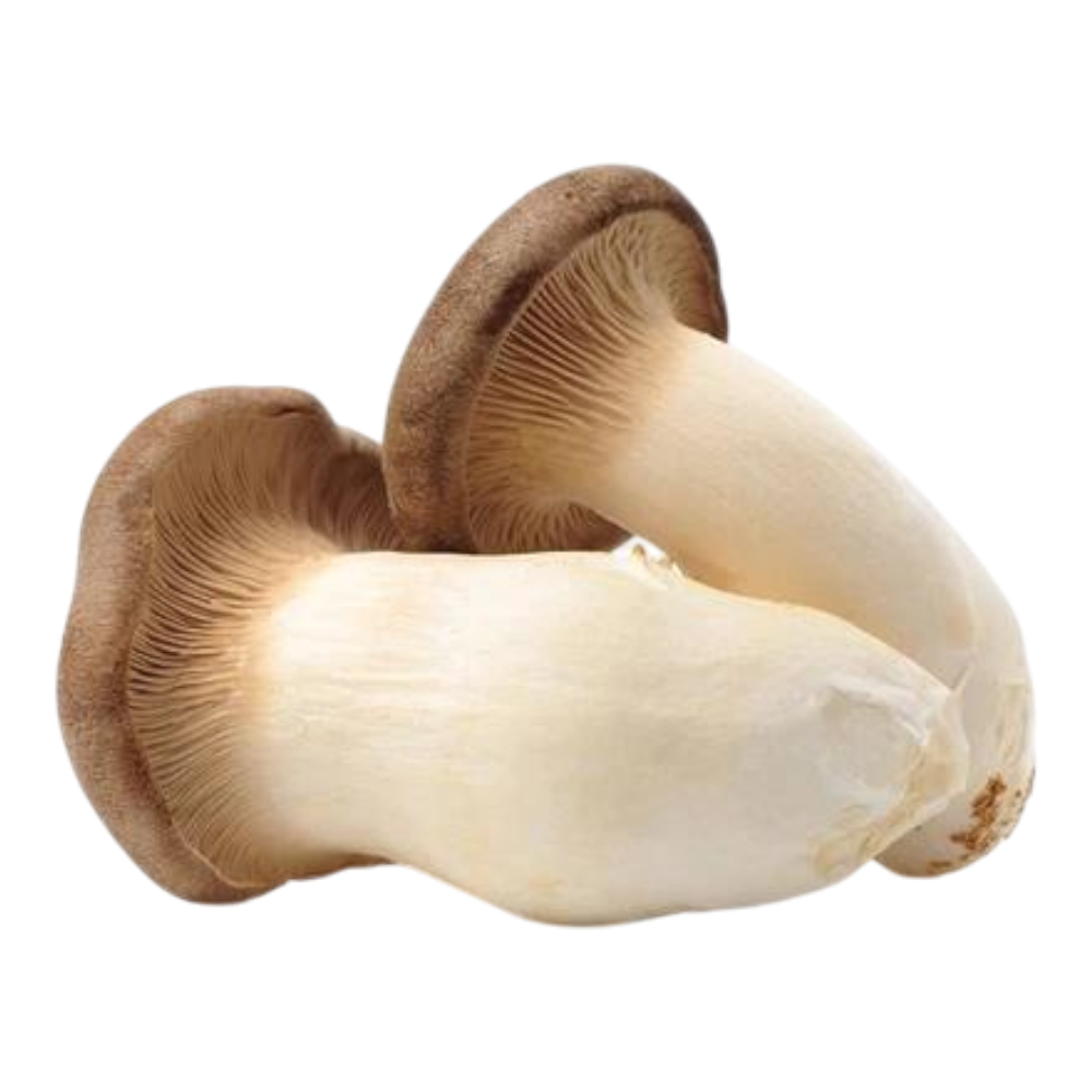 Nấm Đùi Gà / Chicken Leg Mushroom (kg)