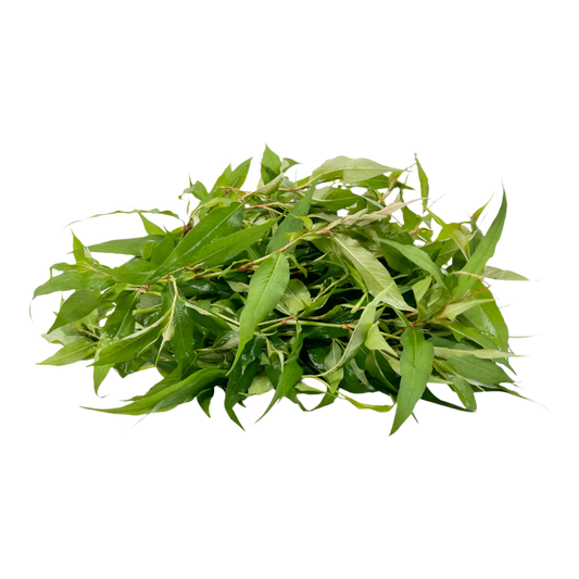 HTF Vietnamese Coriander (100g)