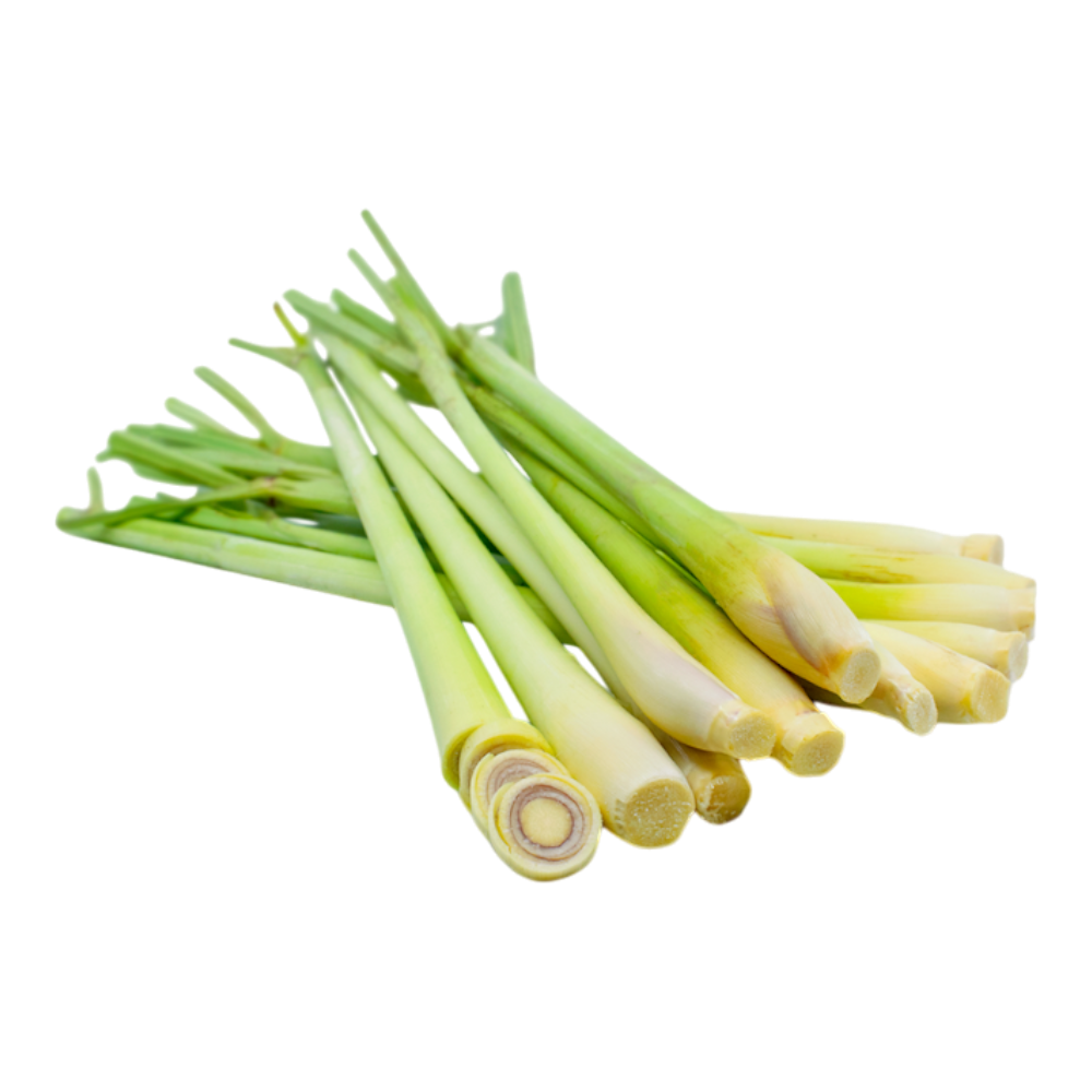 HTF Sả Tươi / Fresh Lemongrass (100g)