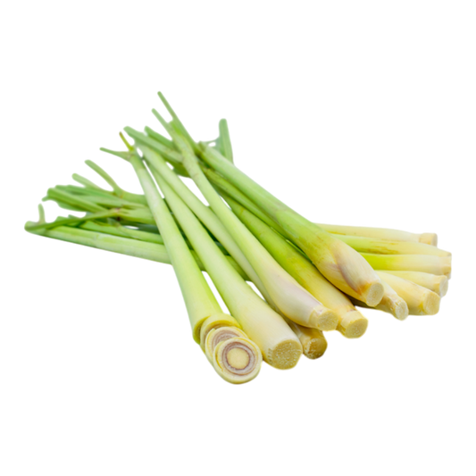HTF Sả Tươi / Fresh Lemongrass (100g)
