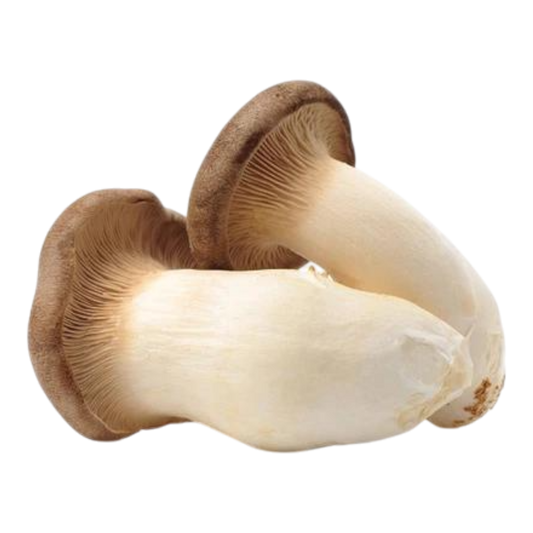 Nấm Đùi Gà / Chicken Leg Mushroom (kg)