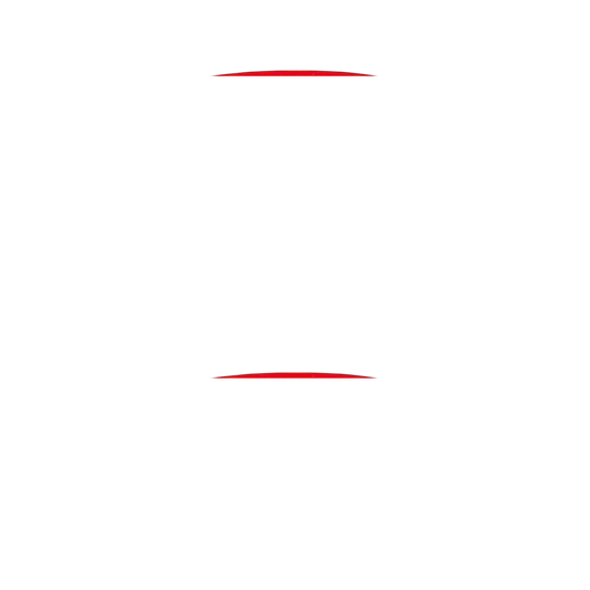 MASTER SAUCE Preserved Bamboo Shoot (340g)