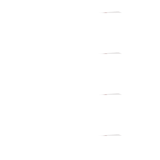 CP Prawn Wonton Soup w Noodles (258g)
