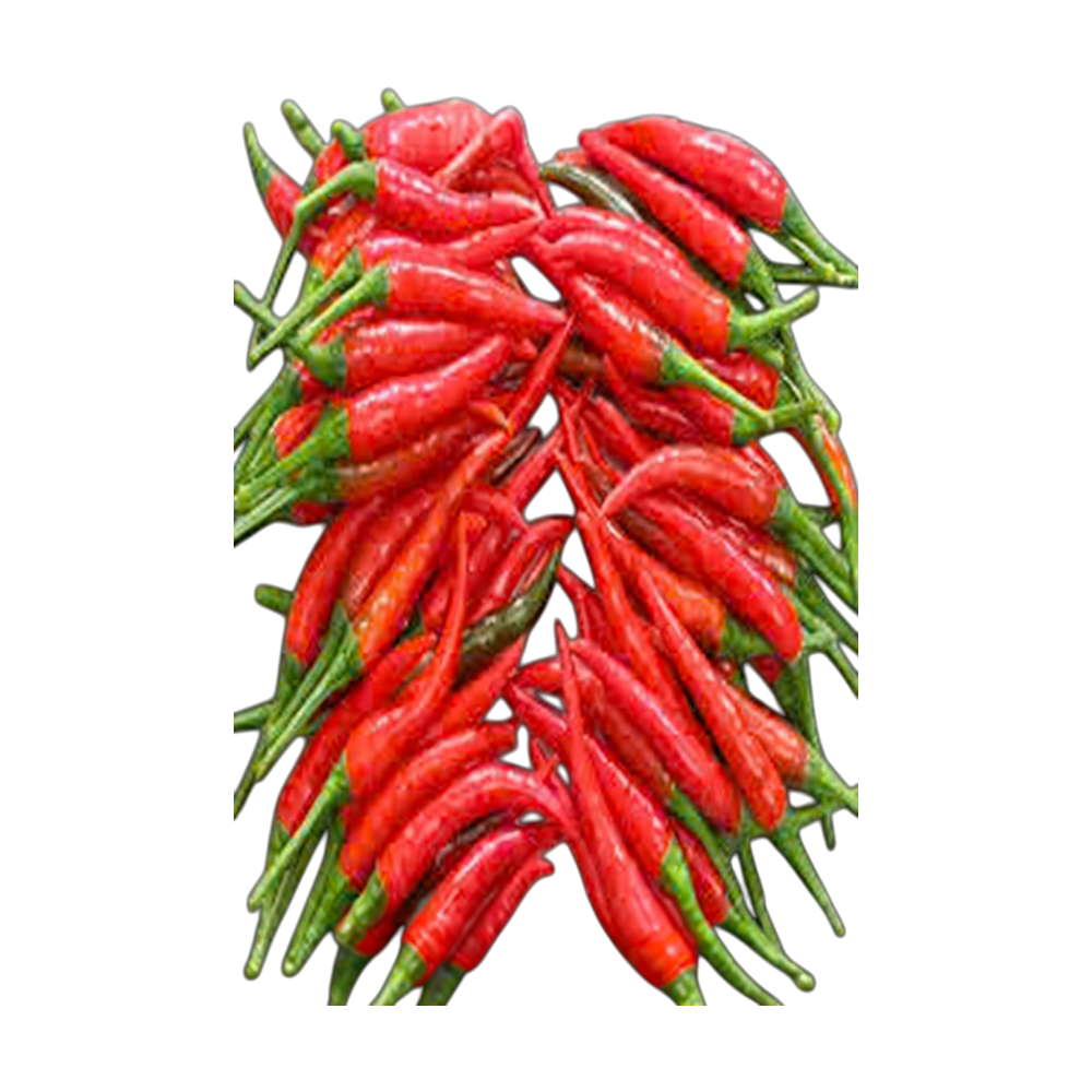 FS Ớt Hiểm / Small Red Chilli (100g)