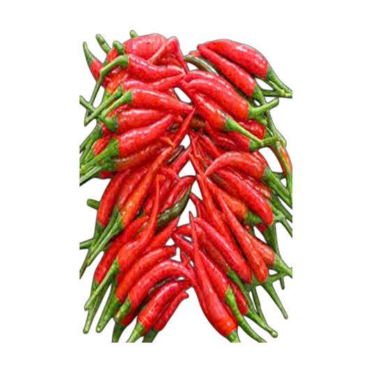 FS Ớt Hiểm / Small Red Chilli (100g)