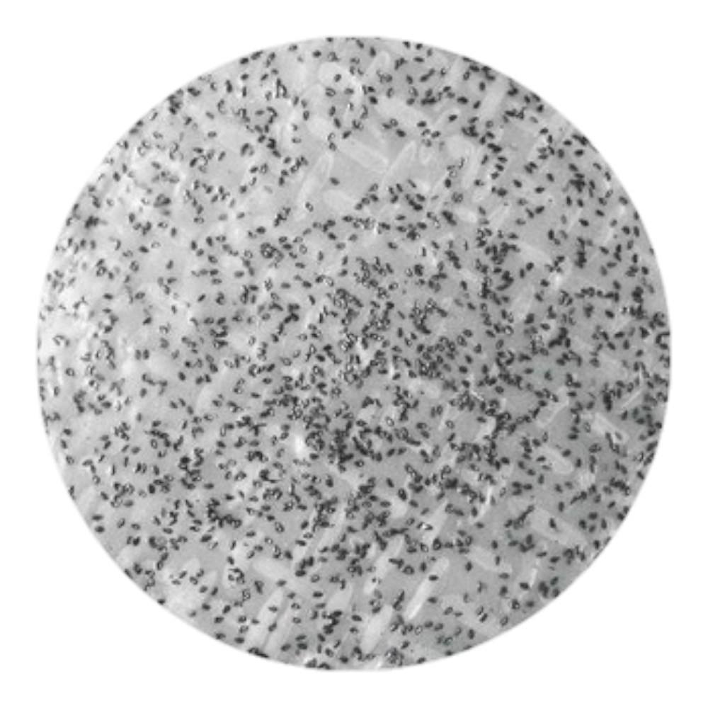 FSN B.Đa Mè Đen Ăn Liền / BS Rice Cracker (24x6p