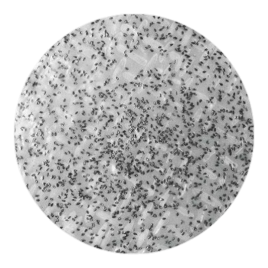 FSN B.Đa Mè Đen Ăn Liền / BS Rice Cracker (6pcs)